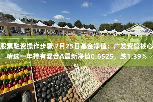 股票融资操作步骤 7月25日基金净值：广发资管核心精选一年持有混合A最新净值0.6525，跌1.39%