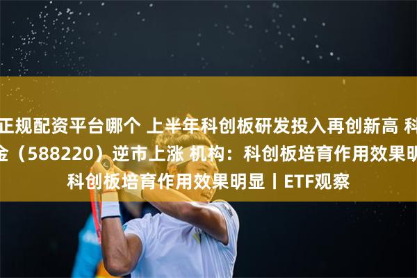 正规配资平台哪个 上半年科创板研发投入再创新高 科创100ETF基金（588220）逆市上涨 机构：科创板培育作用效果明显丨ETF观察