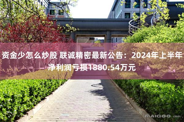 资金少怎么炒股 联诚精密最新公告：2024年上半年净利润亏损1880.54万元