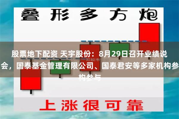 股票地下配资 天宇股份：8月29日召开业绩说明会，国泰基金管理有限公司、国泰君安等多家机构参与