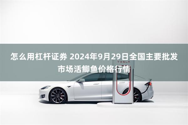 怎么用杠杆证券 2024年9月29日全国主要批发市场活鲫鱼价格行情