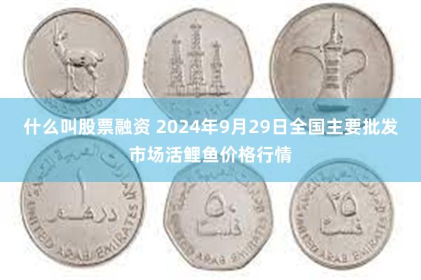 什么叫股票融资 2024年9月29日全国主要批发市场活鲤鱼价格行情