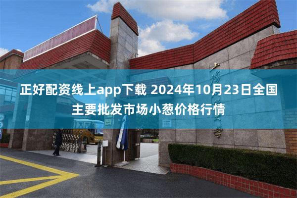 正好配资线上app下载 2024年10月23日全国主要批发市场小葱价格行情