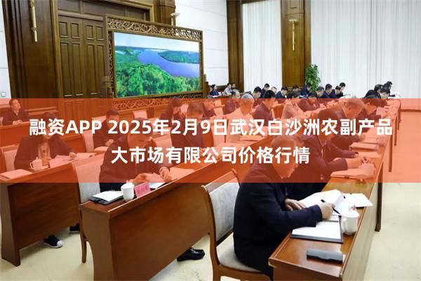 融资APP 2025年2月9日武汉白沙洲农副产品大市场有限公司价格行情