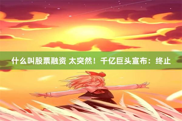 什么叫股票融资 太突然！千亿巨头宣布：终止