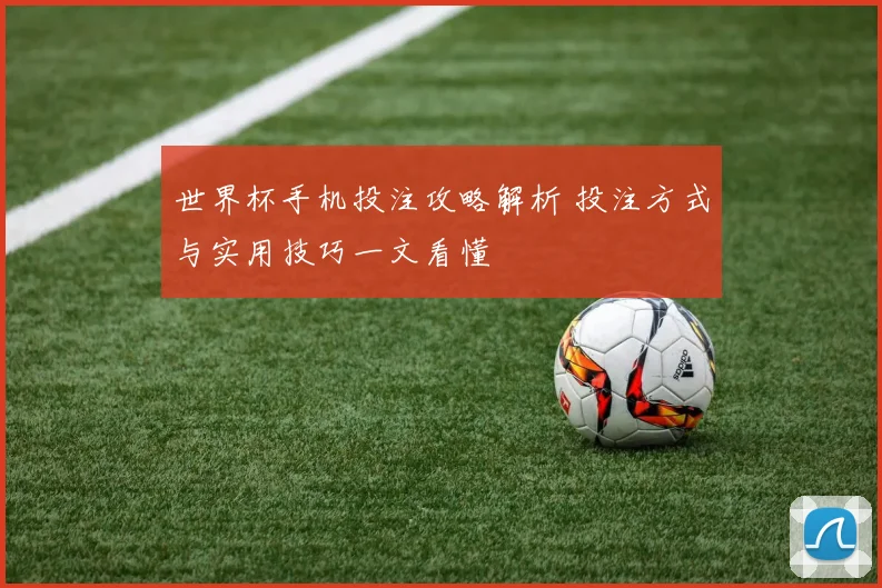 世界杯手机投注攻略解析 投注方式与实用技巧一文看懂