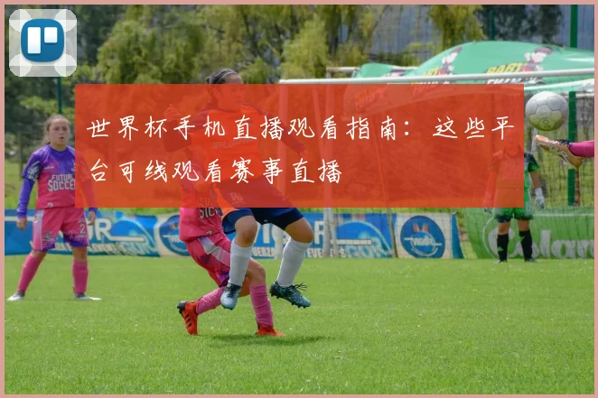 世界杯手机直播观看指南:这些平台可线观看赛事直播