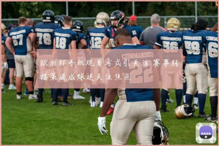欧洲杯手机观看方式引关注 赛事转播渠道成球迷关注焦点