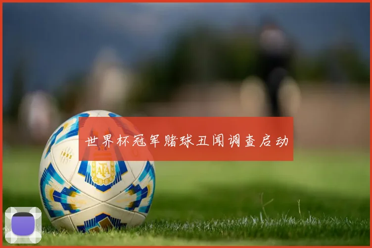世界杯冠军赌球丑闻调查启动
