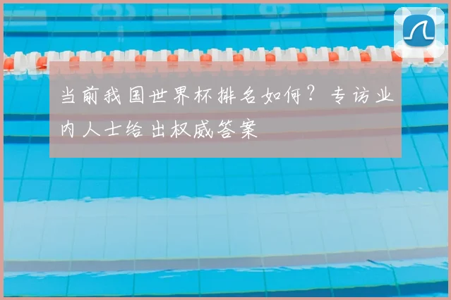 当前我国世界杯排名如何?专访业内人士给出权威答案